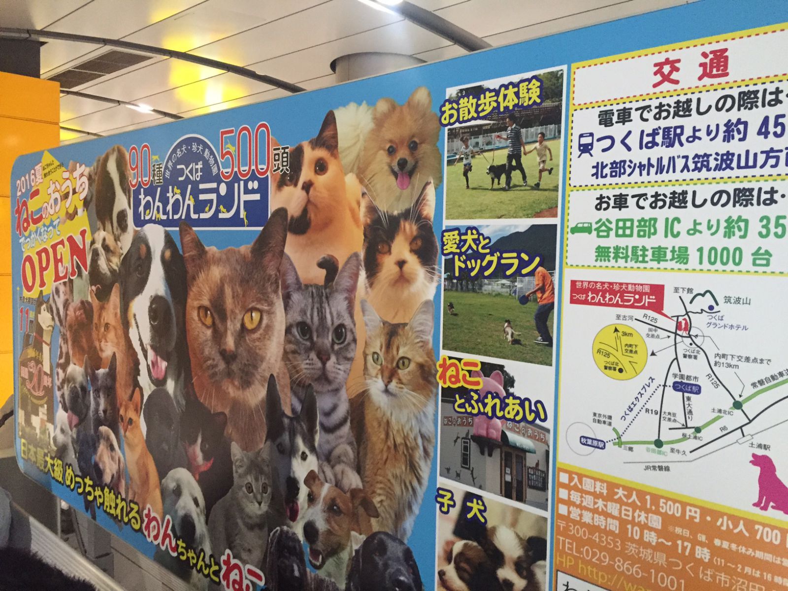 みなさまからの反響ありがとうございます！